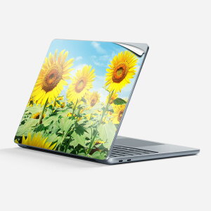 Surface Laptop 7 13 C` p XLV[ SʃXLV[ t w  XebJ[ یV[ LN^[ 킢 002501  Ђ܂ ʐ^