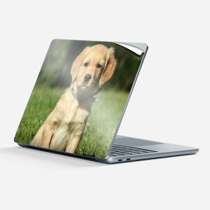 Surface Laptop ��7���� 13 �C���` �p �X�L���V�[�� �S�ʃX�L���V�[�� �t�� �w�� �� �X�e�b�J�[ �ی�V�[�� �L�����N�^�[ ���킢�� 002580 �� ���� �ʐ^