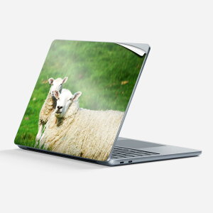 Surface Laptop ��7���� 13 �C���` �p �X�L���V�[�� �S�ʃX�L���V�[�� �t�� �w�� �� �X�e�b�J�[ �ی�V�[�� �L�����N�^�[ ���킢�� 002585 �Ђ� ���� �ʐ^