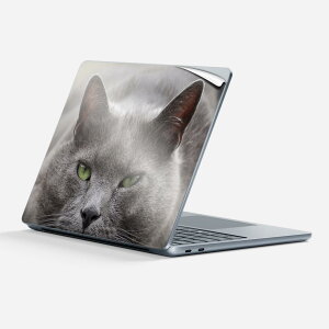 Surface Laptop ��7���� 13 �C���` �p �X�L���V�[�� �S�ʃX�L���V�[�� �t�� �w�� �� �X�e�b�J�[ �ی�V�[�� �L�����N�^�[ ���킢�� 002650 �L ���� �ʐ^