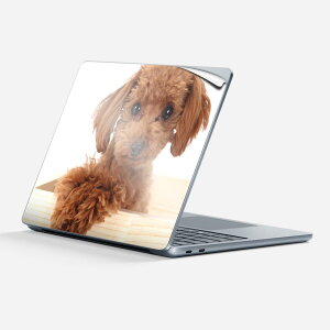 Surface Laptop 7 13 C` p XLV[ SʃXLV[ t w  XebJ[ یV[ LN^[ 킢 002769   ʐ^