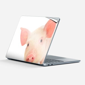 Surface Laptop 7 13 C` p XLV[ SʃXLV[ t w  XebJ[ یV[ LN^[ 킢 002775 Ԃ  ʐ^