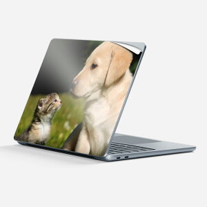 Surface Laptop 7 13 C` p XLV[ SʃXLV[ t w  XebJ[ یV[ LN^[ 킢 002794  L  ʐ^