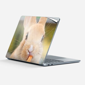 Surface Laptop 7 13 C` p XLV[ SʃXLV[ t w  XebJ[ یV[ LN^[ 킢 002807   ʐ^