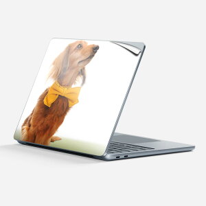 Surface Laptop 7 13 C` p XLV[ SʃXLV[ t w  XebJ[ یV[ LN^[ 킢 002852   ʐ^