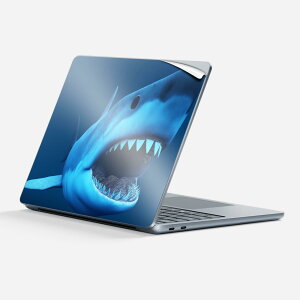 Surface Laptop 7 13 C` p XLV[ SʃXLV[ t w  XebJ[ یV[ LN^[ 킢 002902  C CXg