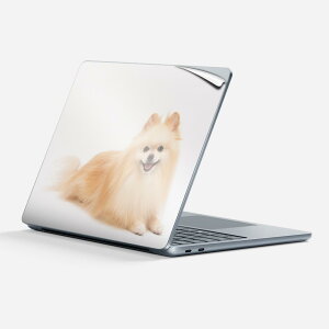 Surface Laptop 7 13 C` p XLV[ SʃXLV[ t w  XebJ[ یV[ LN^[ 킢 002911   ʐ^