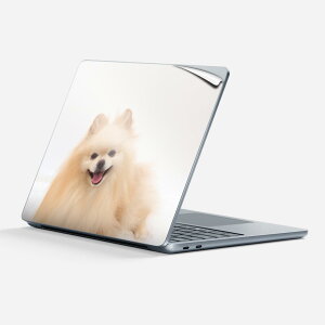 Surface Laptop 7 13 C` p XLV[ SʃXLV[ t w  XebJ[ یV[ LN^[ 킢 002912   ʐ^