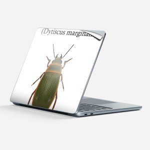 Surface Laptop ��7���� 13 �C���` �p �X�L���V�[�� �S�ʃX�L���V�[�� �t�� �w�� �� �X�e�b�J�[ �ی�V�[�� �L�����N�^�[ ���킢�� 020026 �� great diving beetle �G�]�Q���S���E