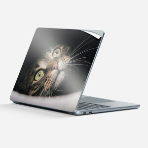 Surface Laptop 7 13 C` p XLV[ SʃXLV[ t w  XebJ[ یV[ LN^[ 킢 023089 L ˂  ʐ^