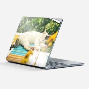 Surface Laptop 7 13 C` p XLV[ SʃXLV[ t w  XebJ[ یV[ LN^[ 킢 023095 L ˂  ʐ^