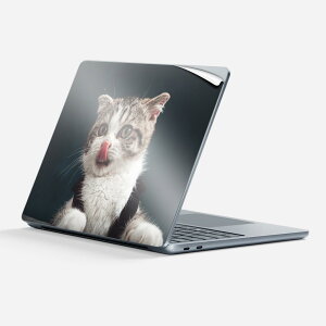 Surface Laptop ��7���� 13 �C���` �p �X�L���V�[�� �S�ʃX�L���V�[�� �t�� �w�� �� �X�e�b�J�[ �ی�V�[�� �L�����N�^�[ ���킢�� 023096 �L �˂� ���� �ʐ^