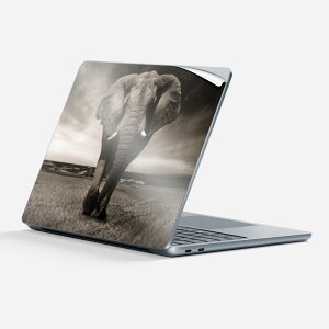 Surface Laptop 7 13 C` p XLV[ SʃXLV[ t w  XebJ[ یV[ LN^[ 킢 023246 ]E  Aj}