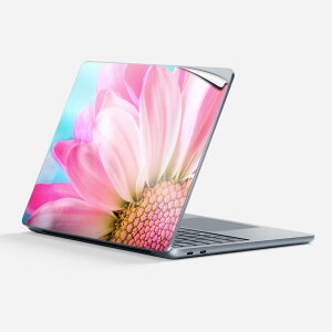 Surface Laptop ��7���� 13 �C���` �p �X�L���V�[�� �S�ʃX�L���V�[�� �t�� �w�� �� �X�e�b�J�[ �ی�V�[�� �L�����N�^�[ ���킢�� 023310 �� �t�����[ �ʐ^