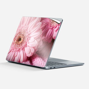 Surface Laptop ��7���� 13 �C���` �p �X�L���V�[�� �S�ʃX�L���V�[�� �t�� �w�� �� �X�e�b�J�[ �ی�V�[�� �L�����N�^�[ ���킢�� 023386 �� �t�����[ �ʐ^