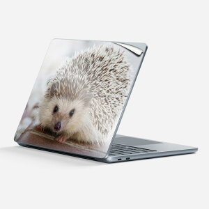 Surface Laptop 7 13 C` p XLV[ SʃXLV[ t w  XebJ[ یV[ LN^[ 킢 023434 nlY~  ʐ^