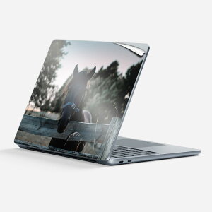 Surface Laptop ��7���� 13 �C���` �p �X�L���V�[�� �S�ʃX�L���V�[�� �t�� �w�� �� �X�e�b�J�[ �ی�V�[�� �L�����N�^�[ ���킢�� 023442 �n ���� �ʐ^