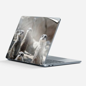 Surface Laptop 7 13 C` p XLV[ SʃXLV[ t w  XebJ[ یV[ LN^[ 킢 023560 ~[ALbg  ʐ^