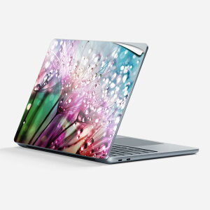 Surface Laptop ��7���� 13 �C���` �p �X�L���V�[�� �S�ʃX�L���V�[�� �t�� �w�� �� �X�e�b�J�[ �ی�V�[�� �L�����N�^�[ ���킢�� 023600 �J���t�� �� �t�����[