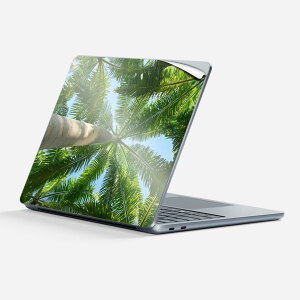 Surface Laptop 7 13 C` p XLV[ SʃXLV[ t w  XebJ[ یV[ LN^[ 킢 025621 R t  