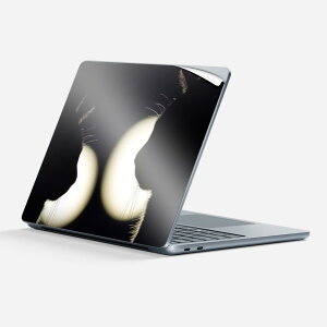 Surface Laptop ��7���� 13 �C���` �p �X�L���V�[�� �S�ʃX�L���V�[�� �t�� �w�� �� �X�e�b�J�[ �ی�V�[�� �L�����N�^�[ ���킢�� 025948 ���� �l�R �V���G�b�g �L