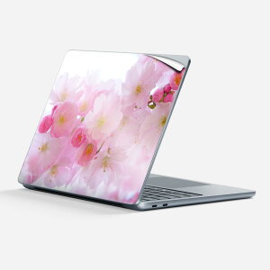 Surface Laptop 7 13 C` p XLV[ SʃXLV[ t w  XebJ[ یV[ LN^[ 킢 025977   { 