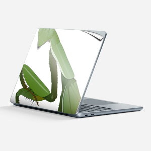 Surface Laptop ��7���� 13 �C���` �p �X�L���V�[�� �S�ʃX�L���V�[�� �t�� �w�� �� �X�e�b�J�[ �ی�V�[�� �L�����N�^�[ ���킢�� 026234 �� �J�}�L��