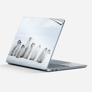 Surface Laptop 7 13 C` p XLV[ SʃXLV[ t w  XebJ[ یV[ LN^[ 킢 033638 yM 