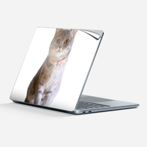 Surface Laptop ��7���� 13 �C���` �p �X�L���V�[�� �S�ʃX�L���V�[�� �t�� �w�� �� �X�e�b�J�[ �ی�V�[�� �L�����N�^�[ ���킢�� 034682 �A�j�}�� �L ���j�[�N