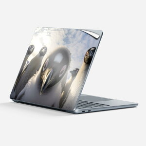 Surface Laptop 7 13 C` p XLV[ SʃXLV[ t w  XebJ[ یV[ LN^[ 킢 035656 Aj}  yM 
