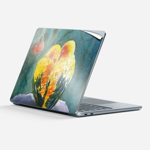 Surface Laptop 7 13 C` p XLV[ SʃXLV[ t w  XebJ[ یV[ LN^[ 킢 035982   