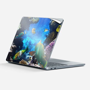 Surface Laptop ��7���� 13 �C���` �p �X�L���V�[�� �S�ʃX�L���V�[�� �t�� �w�� �� �X�e�b�J�[ �ی�V�[�� �L�����N�^�[ ���킢�� 004493 �C �� �ʐ^