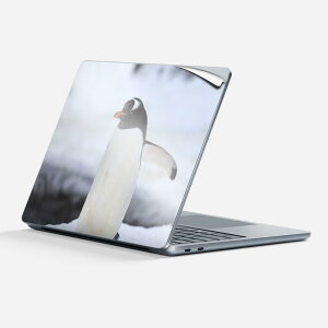 Surface Laptop 7 13 C` p XLV[ SʃXLV[ t w  XebJ[ یV[ LN^[ 킢 004679  yM ʐ^