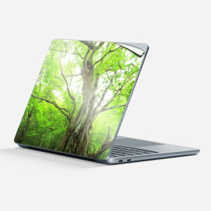 Surface Laptop ��7���� 13 �C���` �p �X�L���V�[�� �S�ʃX�L���V�[�� �t�� �w�� �� �X�e�b�J�[ �ی�V�[�� �L�����N�^�[ ���킢�� 005452 �ʐ^ �X �A��
