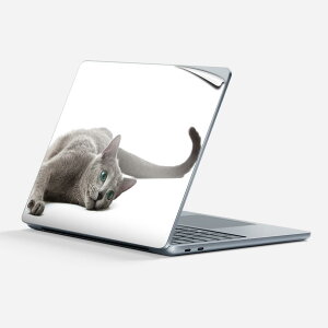 Surface Laptop 7 13 C` p XLV[ SʃXLV[ t w  XebJ[ یV[ LN^[ 킢 005907 ʐ^  L ˂