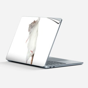 Surface Laptop 7 13 C` p XLV[ SʃXLV[ t w  XebJ[ یV[ LN^[ 킢 005911 ʐ^  ˂