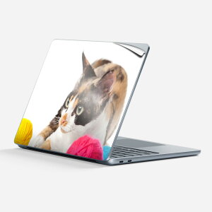 Surface Laptop 7 13 C` p XLV[ SʃXLV[ t w  XebJ[ یV[ LN^[ 킢 005939 ʐ^  L ˂