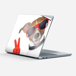 Surface Laptop 7 13 C` p XLV[ SʃXLV[ t w  XebJ[ یV[ LN^[ 킢 006760 ʐ^  