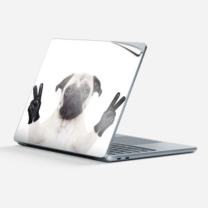 Surface Laptop 7 13 C` p XLV[ SʃXLV[ t w  XebJ[ یV[ LN^[ 킢 006895   ʐ^