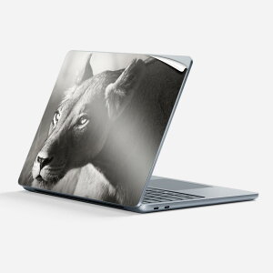 Surface Laptop ��7���� 13 �C���` �p �X�L���V�[�� �S�ʃX�L���V�[�� �t�� �w�� �� �X�e�b�J�[ �ی�V�[�� �L�����N�^�[ ���킢�� 007806 �ʐ^ ���m�N�� ���C�I��