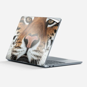 Surface Laptop 7 13 C` p XLV[ SʃXLV[ t w  XebJ[ یV[ LN^[ 킢 008090 ʐ^ g  
