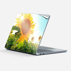 Surface Laptop 7 13 C` p XLV[ SʃXLV[ t w  XebJ[ یV[ LN^[ 킢 011440  Ђ܂ ʐ^