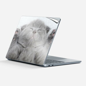Surface Laptop 7 13 C` p XLV[ SʃXLV[ t w  XebJ[ یV[ LN^[ 킢 011682 L  ʐ^