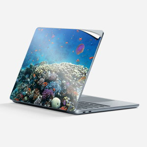 Surface Laptop ��7���� 13 �C���` �p �X�L���V�[�� �S�ʃX�L���V�[�� �t�� �w�� �� �X�e�b�J�[ �ی�V�[�� �L�����N�^�[ ���킢�� 011697 �C �X�� �ʐ^