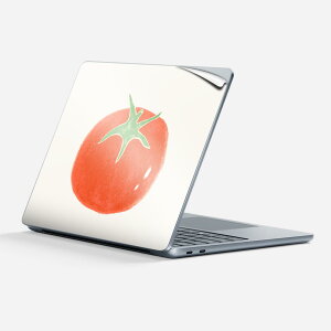 Surface Laptop ��7���� 13 �C���` �p �X�L���V�[�� �S�ʃX�L���V�[�� �t�� �w�� �� �X�e�b�J�[ �ی�V�[�� �L�����N�^�[ ���킢�� 014683 �g�}�g ���