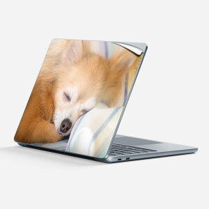 Surface Laptop ��7���� 13 �C���` �p �X�L���V�[�� �S�ʃX�L���V�[�� �t�� �w�� �� �X�e�b�J�[ �ی�V�[�� �L�����N�^�[ ���킢�� 014826 �� �`���� �ʐ^