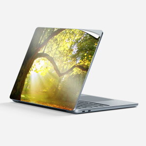 Surface Laptop 7 13 C` p XLV[ SʃXLV[ t w  XebJ[ یV[ LN^[ 킢 014991 iF R i ʐ^  