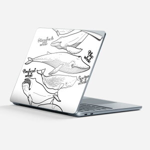 Surface Laptop ��7���� 13 �C���` �p �X�L���V�[�� �S�ʃX�L���V�[�� �t�� �w�� �� �X�e�b�J�[ �ی�V�[�� �L�����N�^�[ ���킢�� 016163 �� ���m�N��