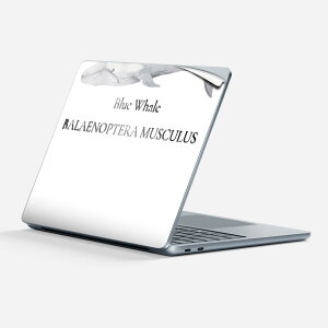 Surface Laptop 7 13 C` p XLV[ SʃXLV[ t w  XebJ[ یV[ LN^[ 킢 019741 C̐ ViKXNW blue whale