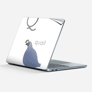 Surface Laptop 7 13 C` p XLV[ SʃXLV[ t w  XebJ[ یV[ LN^[ 킢 019949 Q quail EY